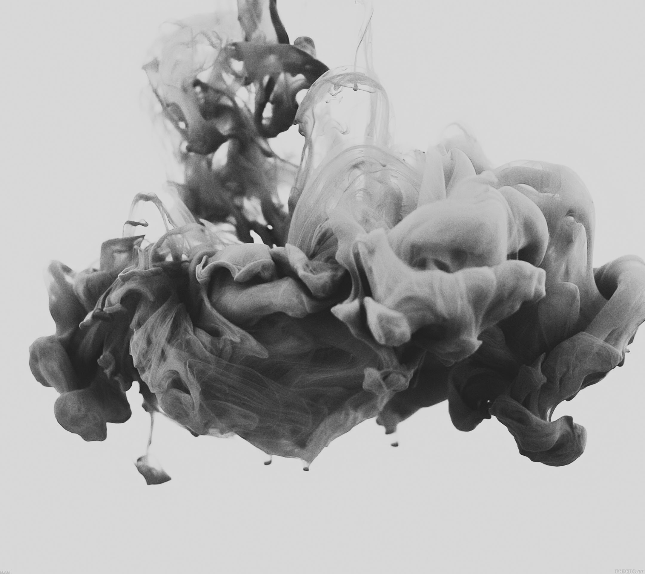 Misc8