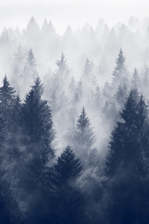 Nature23