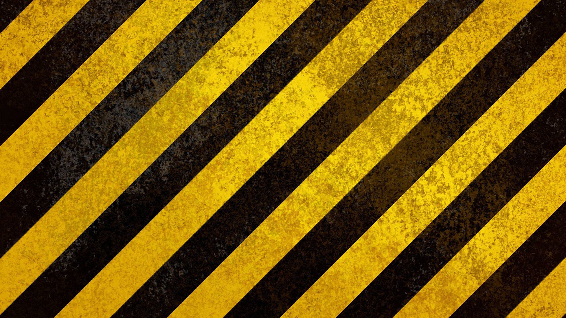 0295