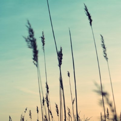 Nature18
