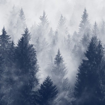 Nature23