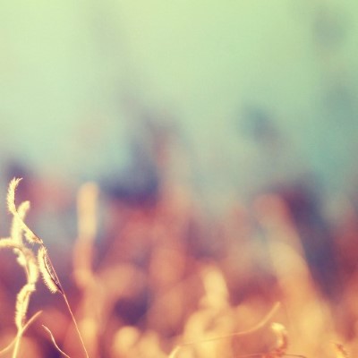 Nature35