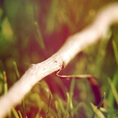 Nature4